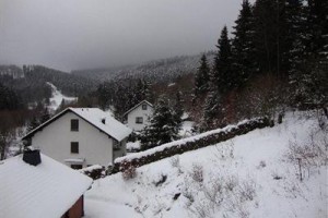 Ferienwohnungen Willingen Wald Image