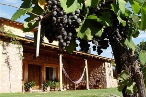 Finca Adalgisa Hotel Mendoza voted 5th best hotel in Chacras de Coria 