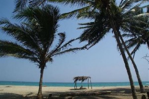 Finca Los Angeles Image