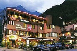 Hotel Fluelerhof Image