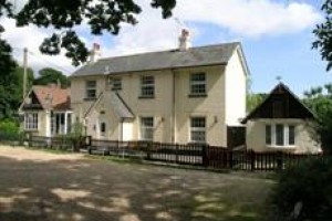 Forest Tea House Image