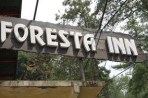 Foresta Inn Family Resort Image