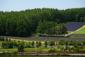 Furano La Terre Image