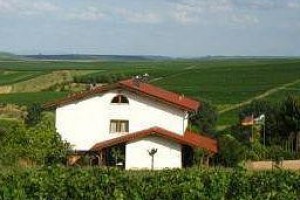 Ganz Weingut & Biohotel Image