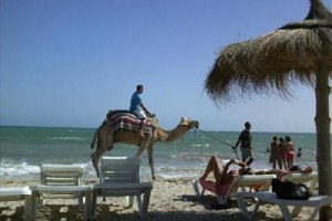 Garden Park Hotel Djerba Image