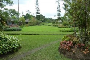 Gardenia Country Inn voted  best hotel in Tomohon