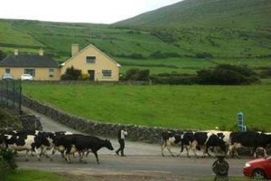 Garveys Farmhouse Ventry Image