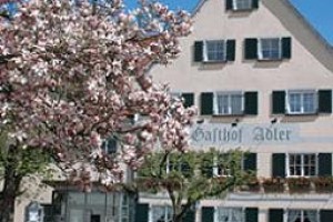 Gasthof Hotel Adler voted 5th best hotel in Immenstaad