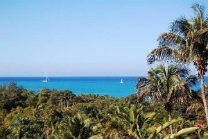 Gite Mangoplaya Image