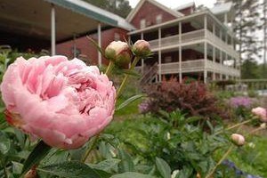 Glen-ella Springs Inn Clarkesville voted  best hotel in Clarkesville