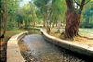 Great Roots Forestry Spa Resort Image