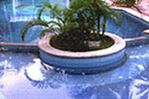 Green Coconut Resort Muttukadu Image