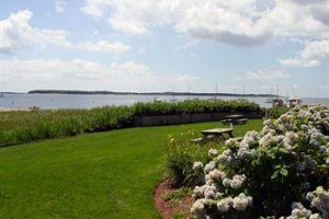 Green Harbor on the Ocean Image