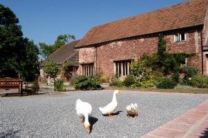 Gurney Manor Mill Bed & Breakfast Bridgwater Image