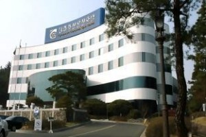 Gyoungju Chosun Spa Hotel Image