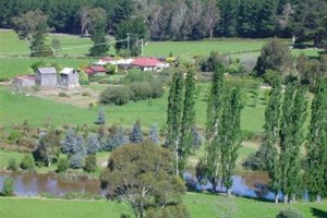 Hamlet Downs Country Accommodation Bed and Breakfast Fentonbury Image