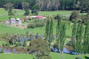 Hamlet Downs Country Accommodation Bed and Breakfast Fentonbury voted  best hotel in Fentonbury