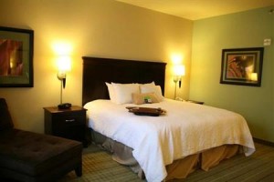 Hampton Inn Gonzales Image