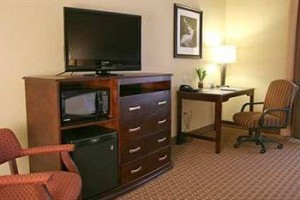 Hampton Inn & Suites Sevierville @ Stadium Drive voted  best hotel in Kodak