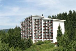 Haus Bayerwald voted  best hotel in Neureichenau