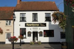 Hawthorns Hotel Glastonbury (England) Image