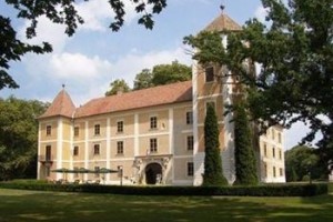 Hedervar Castle Hotel Gyor Image