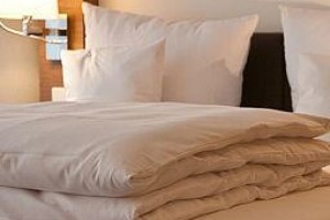 Hegau Tower Hotel Image