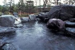 Hidatei Hanaogi Image