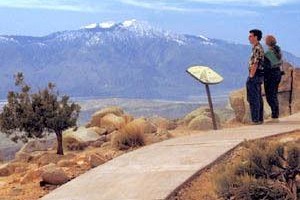 High Desert Motel Joshua Tree voted  best hotel in Joshua Tree