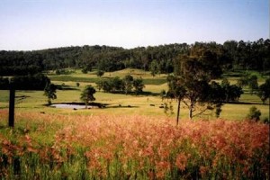 Hill Top Country Guest House Image