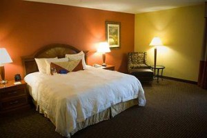 Hilton Garden Inn Colorado Springs Image