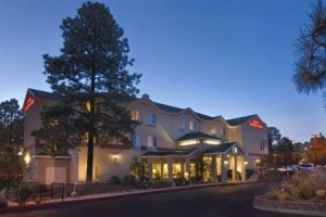 Hilton Garden Inn Flagstaff Image
