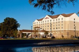 Hilton Garden Inn Greenville Image