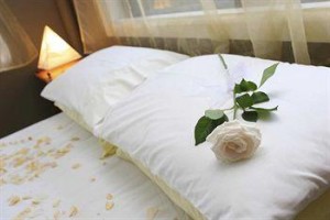 Hilton Garden Inn Tampa Northwest Oldsmar Image