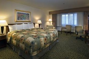 Holiday Inn San Francisco - Intl Airport Image