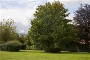 Holiday Inn High Wycombe voted 9th best hotel in High Wycombe