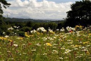 Honey Cottage Killybegs Image