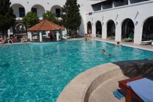 Aleksandar Image