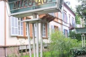 Hotel Alleehaus Image