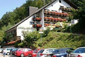 Hotel die Kleine Blume voted  best hotel in Erfweiler