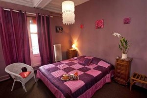 Hotel Du Rhone Vichy Image