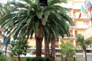 Hotel Giancarlo Image