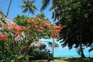 Hotel Hibiscus Moorea Image