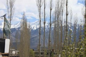 Hotel Holiday Ladakh voted 5th best hotel in Leh