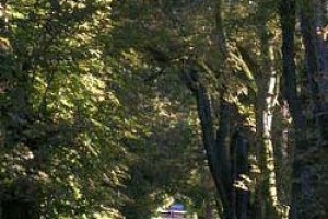 Hotel Lauterbach am See Putbus voted 6th best hotel in Putbus