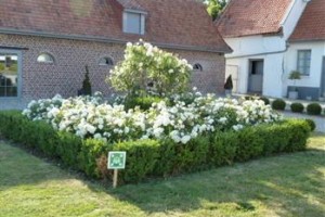 Hotel Le Clos de la Prairie voted  best hotel in Gouy-Saint-Andre