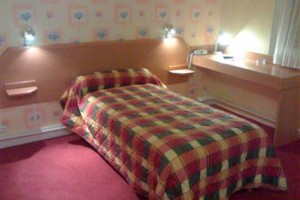 Hotel le Lyon Bron Image