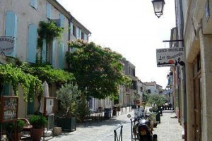 Hotel Les Templiers Aigues-Mortes Image