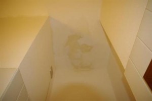 Hotel Nuova Grosseto Image