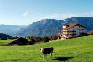 Hotel Pension Schlaneiderhof Image